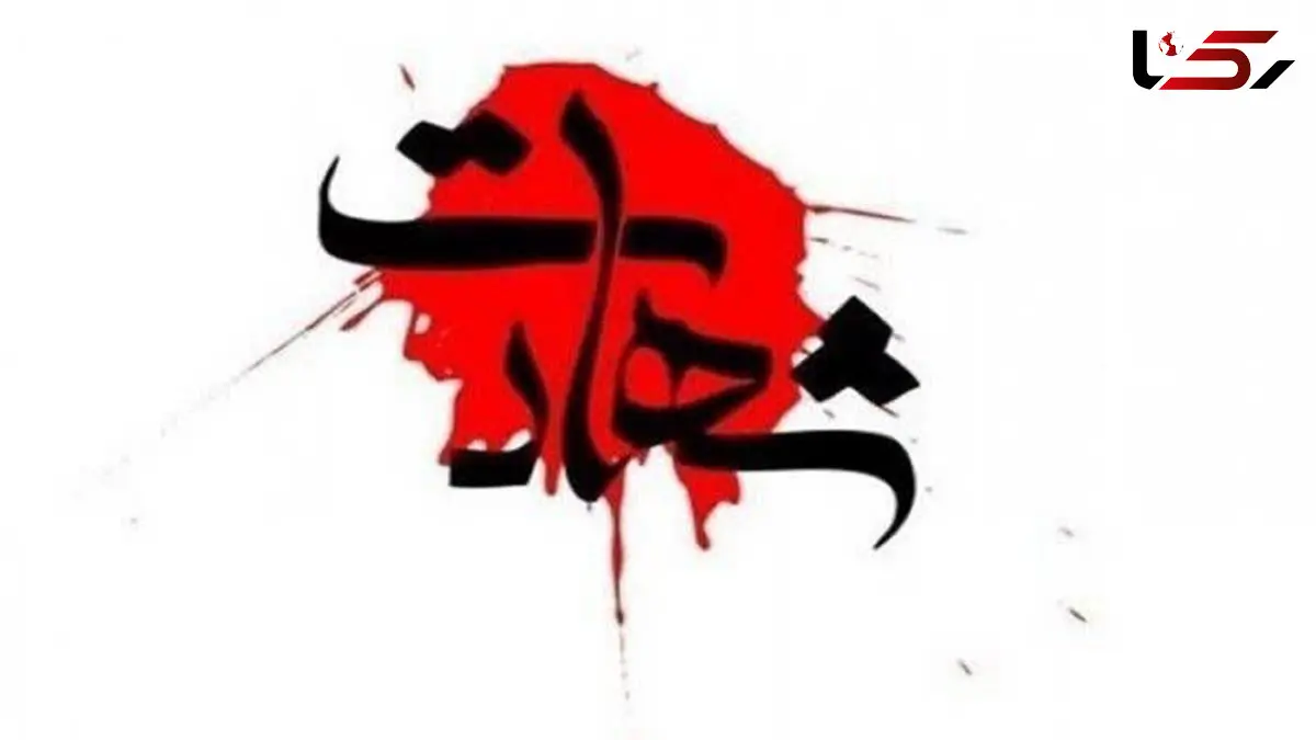 مرزبان وظیفه هنگ مرزی میرجاوه در سانحه رانندگی به شهادت رسید