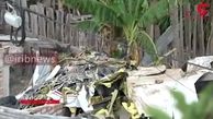 نخستین فیلم از سقوط هواپیما در کلمبیا / 7 مسافر کشته شدند