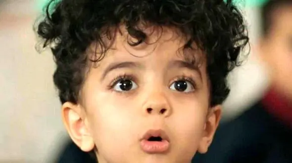 بازیگر نقش «سالار معمولی» در پایتخت ۷ کیست؟