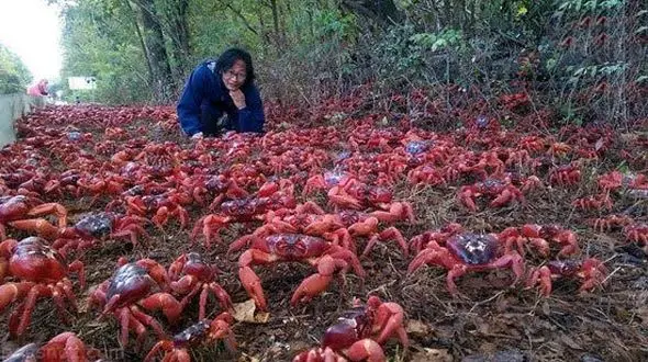 ترسناک ترین بلایای طبیعی که در جهان رخ داده است