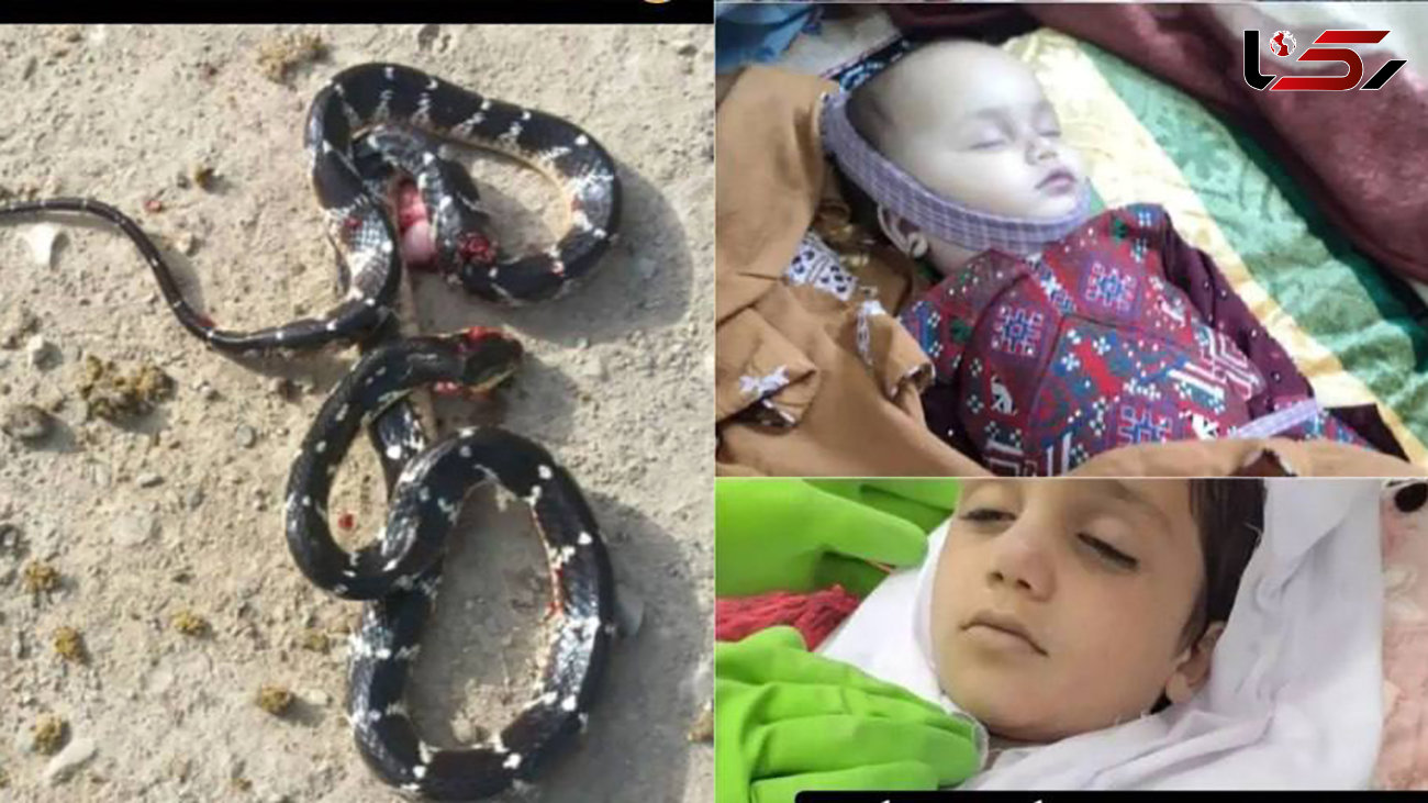 عکس های تلخ از مرگ 2 کودک در سرباز /  مار سمی آن دو را به خواب ابدی برد
