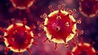 چرا ویروس کرونا دائما تغییر پیدا می‌کند؟