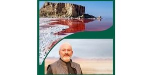 درویش: آب دریاچه ارومیه کاهش یافت ، سرخ شد/دولت زمانی می تواند بگوید برای احیای دریاچه کاری کرده که 90هزارحلقه چاه را کاهش دهد