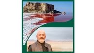 درویش: آب دریاچه ارومیه کاهش یافت ، سرخ شد/دولت زمانی می تواند بگوید برای احیای دریاچه کاری کرده که 90هزارحلقه چاه را کاهش دهد