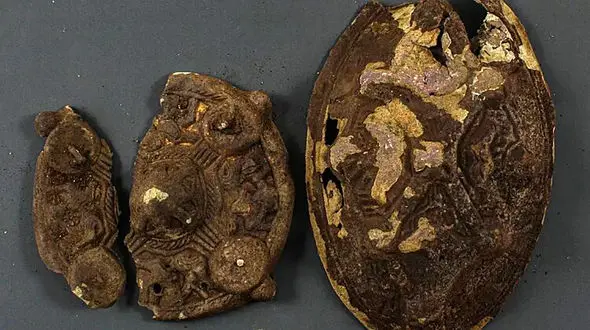 پیدا شدن گنج هزار ساله در حیاط خانه