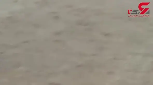 لحظه زخمی شدن شدید گاوباز مشهور + تصویر 