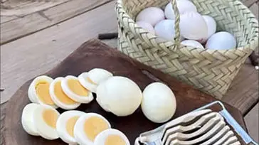 رژیم غذایی بدنسازها چه باید باشد؟ / فیلم