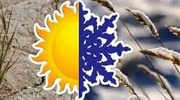 خسارت کشاورزان به طور دقیق و کارشناسی پرداخت شود/ کشاورز به چه امیدی محصولاتش را بیمه کند!