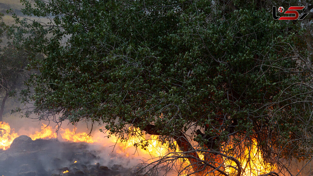 آتش سوزی هولناک در منطقه گلیل شیروان