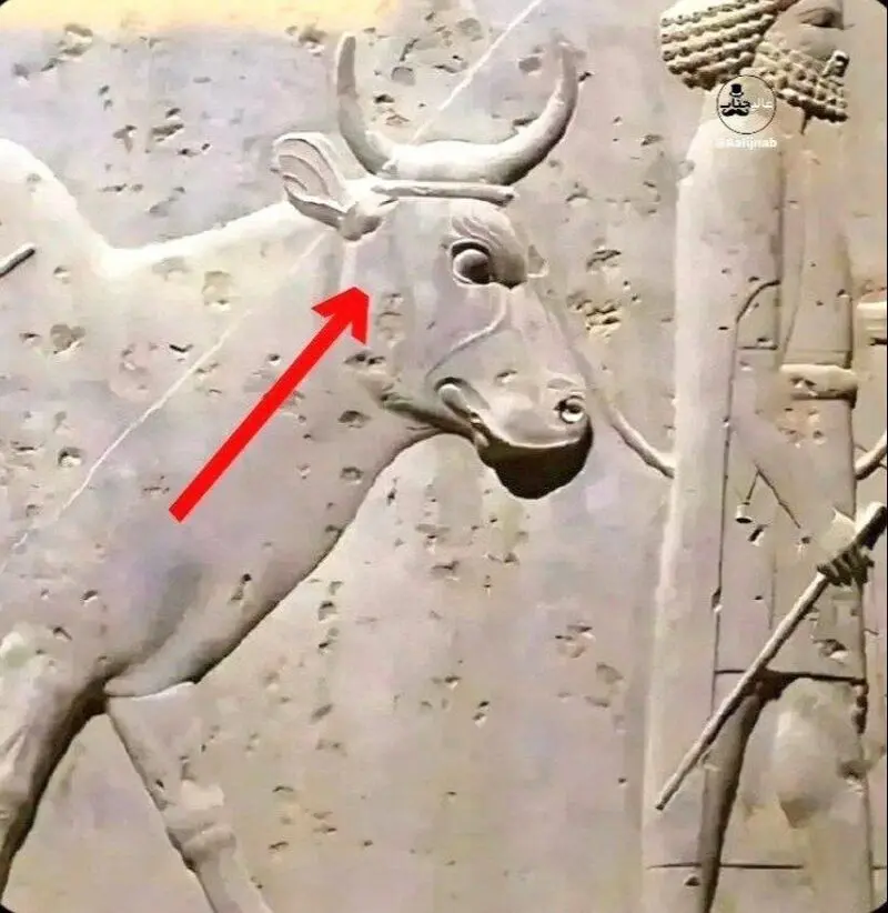 تصویر
