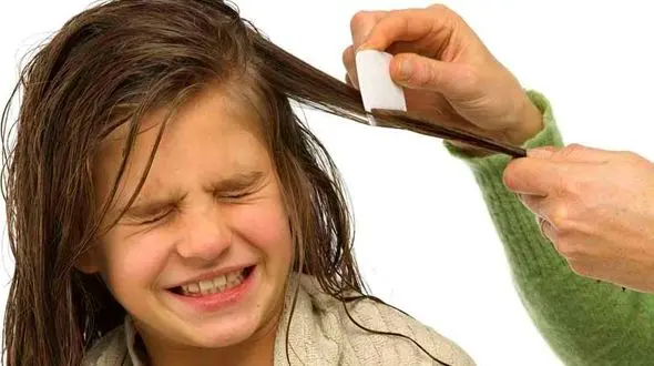 درمان خانگی خارش پوست سر در فصل پاییز