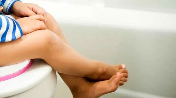 استفاده از توالت فرنگی مشکلات گوارشی را افزایش می دهد