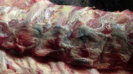 توقیف ۸ تن گوشت فاسد چرخ کرده قبل از توزیع در بازار