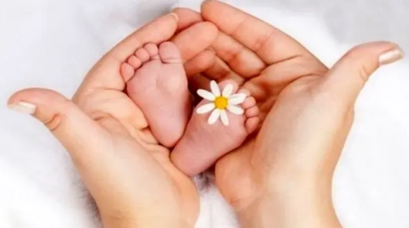 بیمه سلامت هزینه درمان ناباروری را پرداخت می‌کند