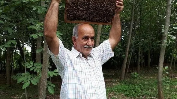 مرد گیلانی که زنبورها او را نیش نمی‌زنند + تصاویر

