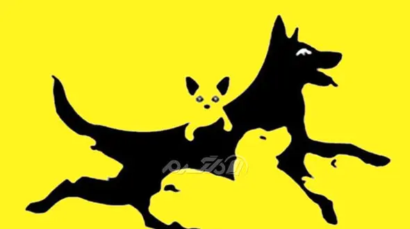 تست : در عکس گربه می بینید یا سگ ؟ / خودتان را بشناسید !