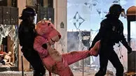 پلنگ صورتی در تظاهرات فرانسه دستگیر شد!