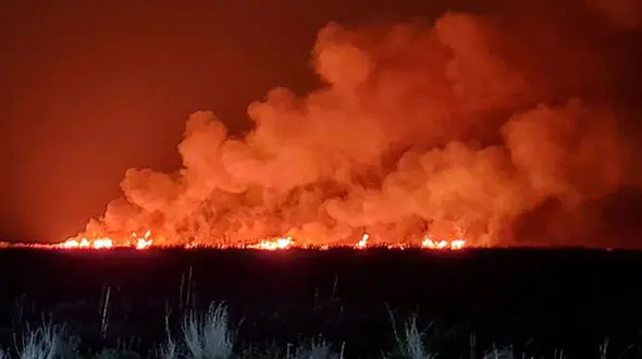 مهار حریق تالاب نوروزلو بعد از 4 ساعت