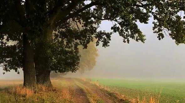 روایت آرامش در سکوت