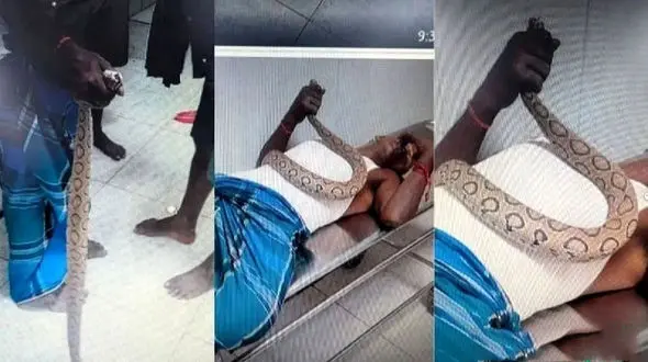 مرد هندی با یک مار به بیمارستان آمد 