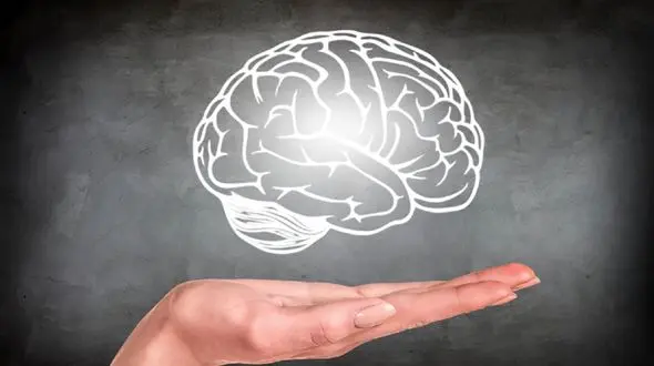 دشمنان سلامت مغز در تابستان را بشناسید 