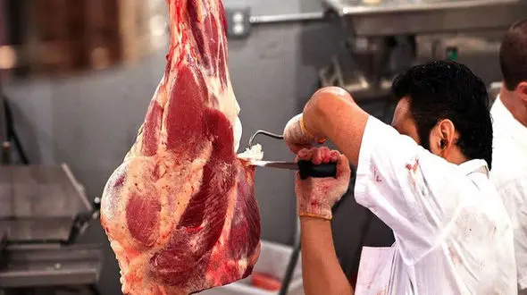 زندانی یک مرد قصاب به خاطر کشتار ۳ گوسفند! / در لرستان رخ داد