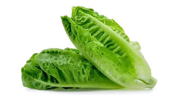 اگر بدخواب هستید کاهو بخورید 