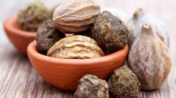 درمان میگرن با این گیاه پر خاصیت