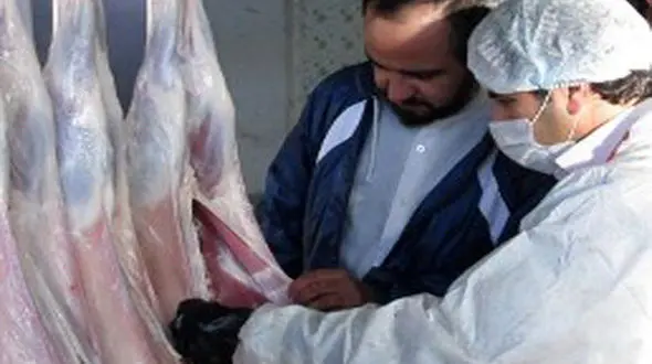 تاثیر "تب کریمه کنگو" بر بازار گوشت قرمز / نرخ انواع محصولات گوشتی 