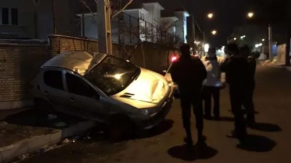 شاخ به شاخ خودروی 206 با تیر چراغ برق