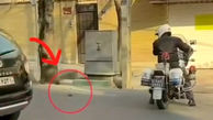 اقدام زیبای پلیس راهور تهران برای نجات یک کبوتر / به احترام این پلیس باید ایستاد + فیلم
