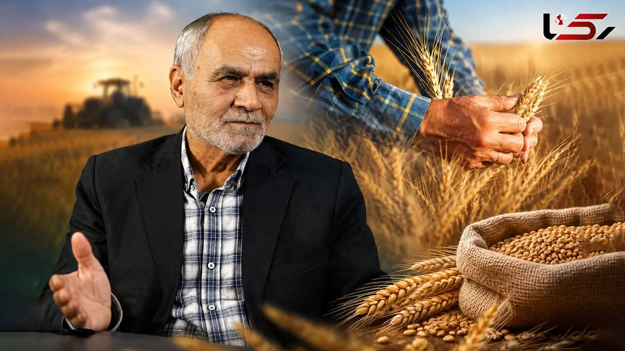 تأخیر در پرداخت پول گندمکاران، تولید کشور را تهدید می‌ کند / 27 سال است جریمه تأخیر مطالبات گندمکاران پرداخت نشده! + صوت