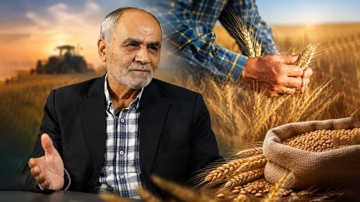 تأخیر در پرداخت پول گندمکاران، تولید کشور را تهدید می‌ کند / 27 سال است جریمه تأخیر مطالبات گندمکاران پرداخت نشده!