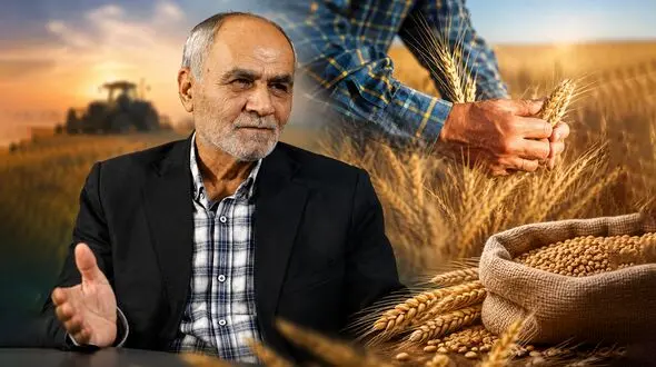 تأخیر در پرداخت پول گندمکاران، تولید کشور را تهدید می‌ کند / 27 سال است جریمه تأخیر مطالبات گندمکاران پرداخت نشده! + صوت
