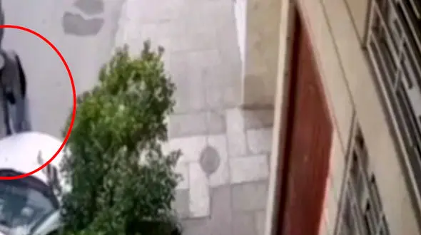 فیلم لحظه سرقت سه سوته باتری پژو 206 در روز روشن