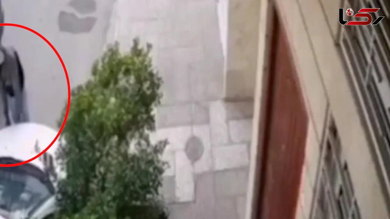 فیلم لحظه سرقت سه سوته باتری پژو 206 در روز روشن
