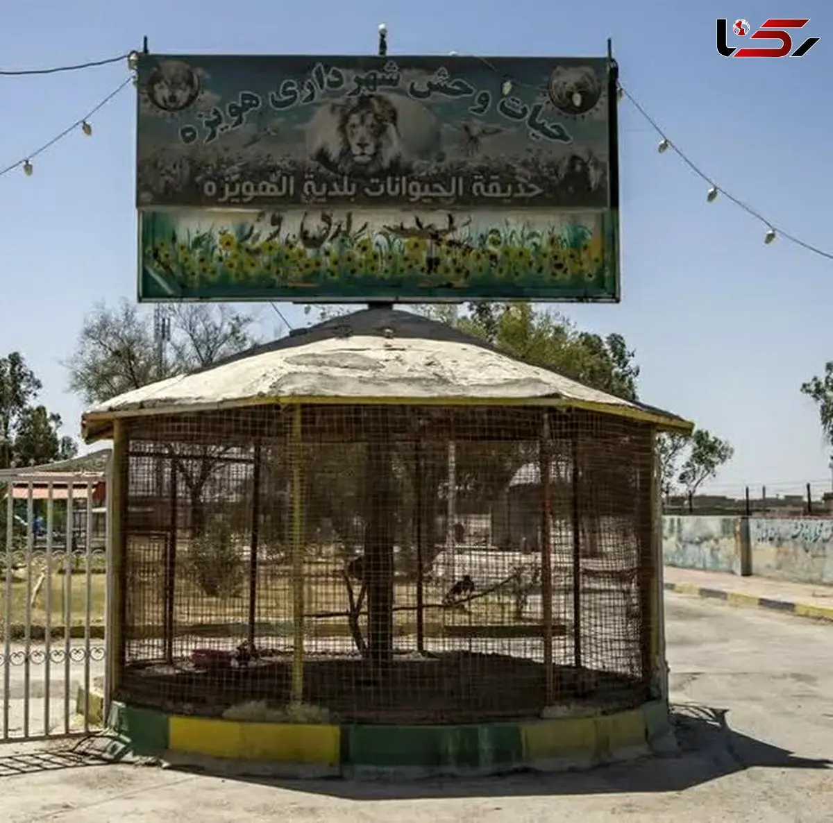 باغ‌وحش هویزه به دلیل وضعیت نامناسب بهداشتی و زیستی حیوانات پلمب شد
