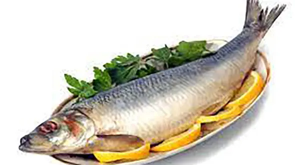 چه غذاهایی سلامت مغز را تضمین می کند؟ / تماشای افراطی تلویزیون ممنوع!