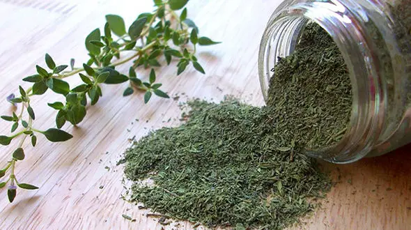 با آویشن از سرفه در امان بمانید