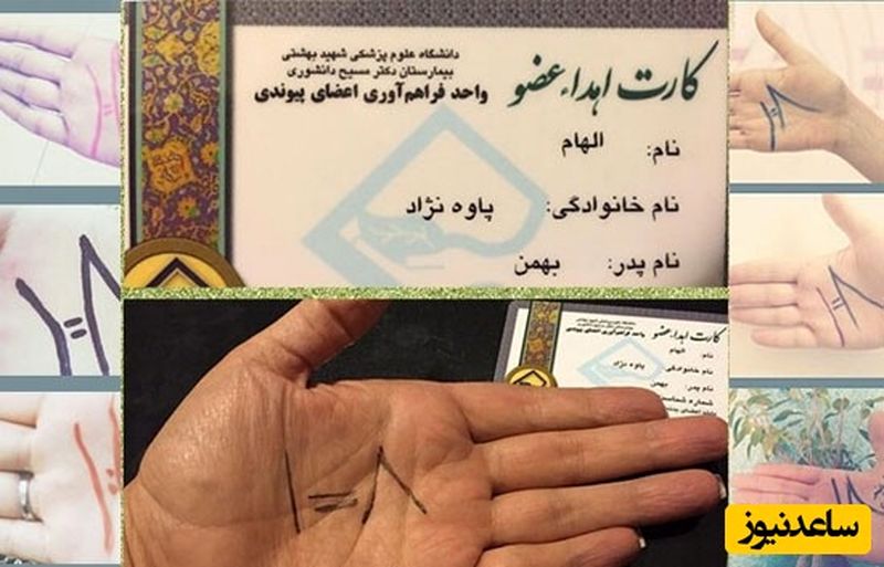 هنرمند