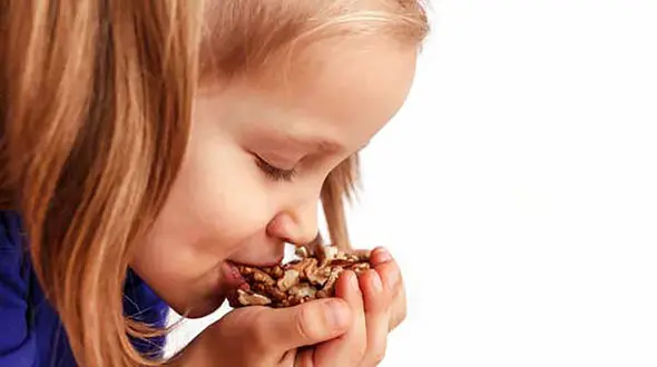 خواص گردو برای کودکان