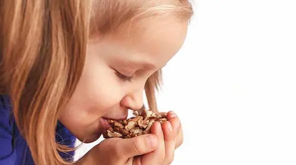 خواص گردو برای کودکان
