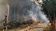 آتش سوزی در دامداری شهر محمود آباد نمونه  
