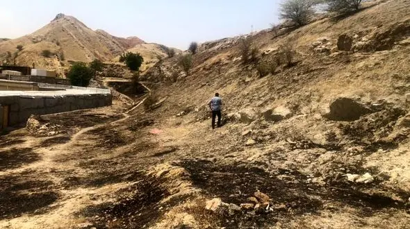 آتش سوزی گسترده درختان مسجد سلیمان در منطقه بی بیان