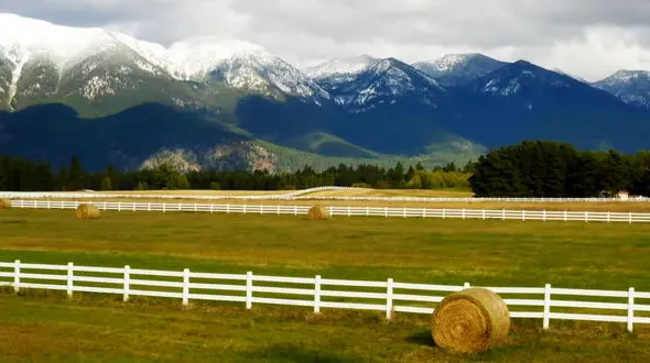  ببینید / نماهنگ بی کلام آرامش بخش با طبیعت زیبا + فیلم 