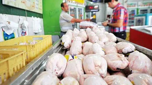 مرغ منجمد ارزان شد / قیمت مصوب اعلام شد