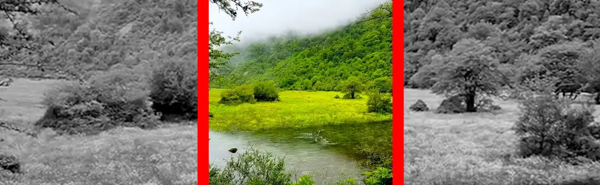 فیلم دشت دریاسر مقصدی جذاب برای کمپینگ