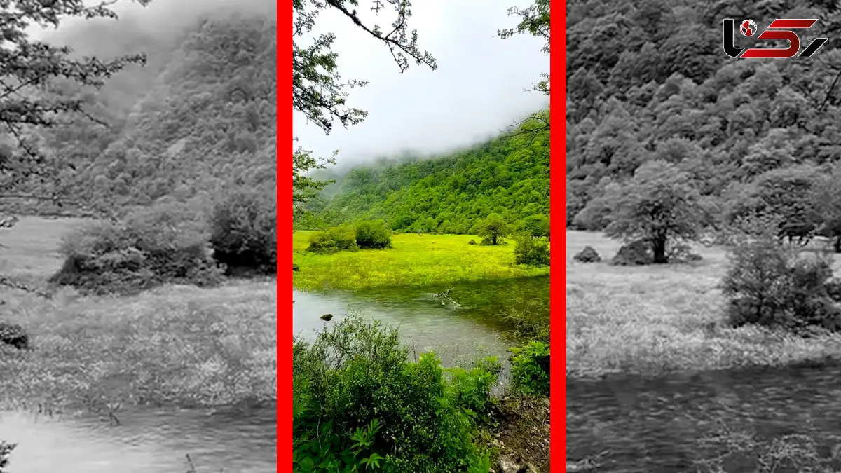 فیلم دشت دریاسر مقصدی جذاب برای کمپینگ