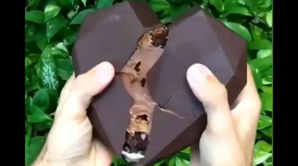 این قلب خوردن دارد + فیلم 