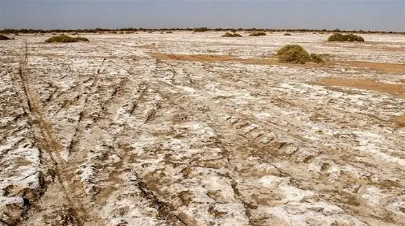 برکت باران برای تالاب جازموریان